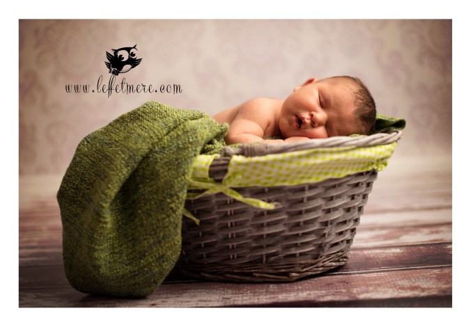 photographe montauban