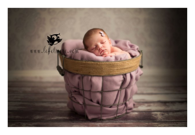 Photographe montauban