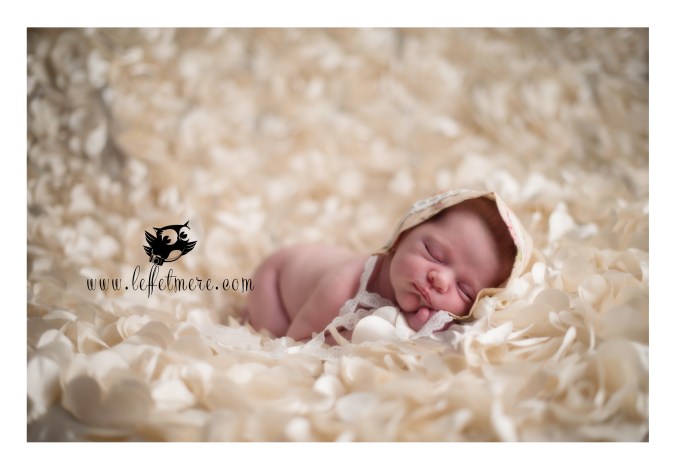 Photographe montauban
