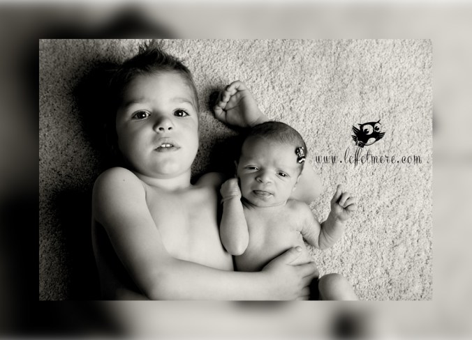 Photographe montauban