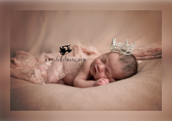 Photographe Montauban