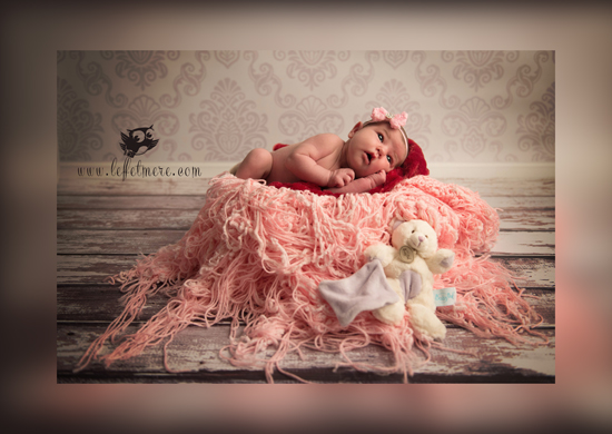 Photographe Montauban