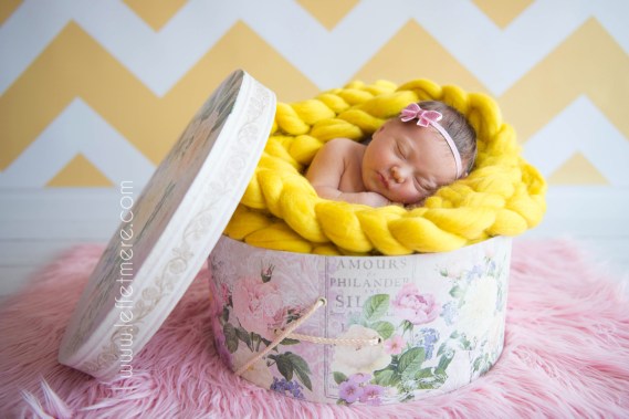 Photographe bébé