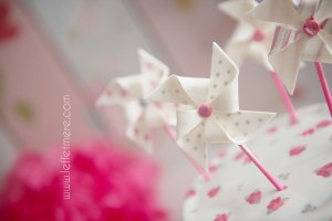 Photographe Montauban