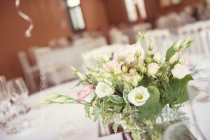Photographe montauban