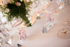 Photographe montauban